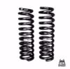 Picture of Alldogs Offroad D40-F-H Front Lift Coil Springs for Nissan Frontier & Xterra