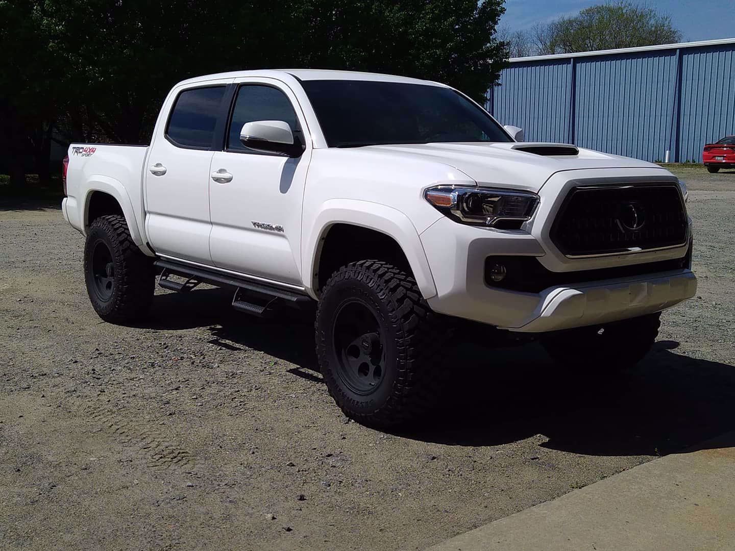 Alldogs Offroad Coop. Alldogs Offroad Complete Lift Kit w/ Bilstein 5100's for 3rd Gen Toyota