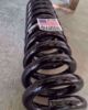 Picture of Alldogs Offroad Y62-F-M Front Lift Coil Springs for 1st & 2nd Gen Nissan Titan