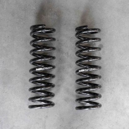 Picture of Alldogs Offroad D40-F-OE Front Coil Springs for Nissan Frontier & Xterra